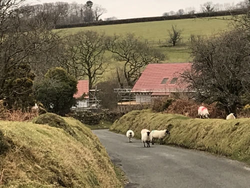 Short Winter Walk to Pew Tor